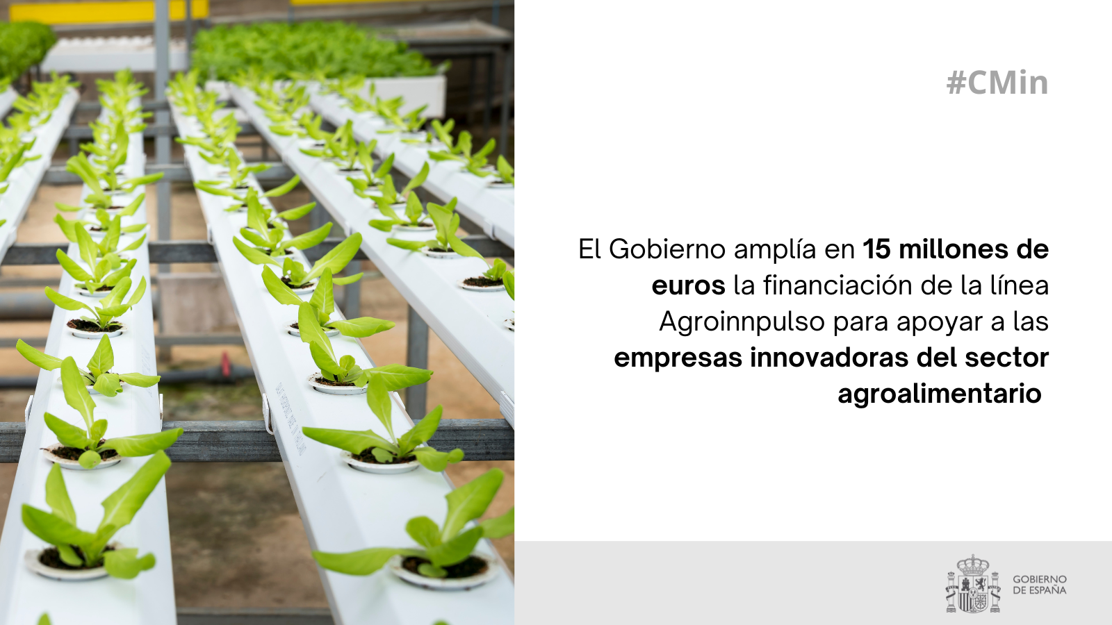 Impulso a la innovación agroalimentaria: financiación Agroinnpulso