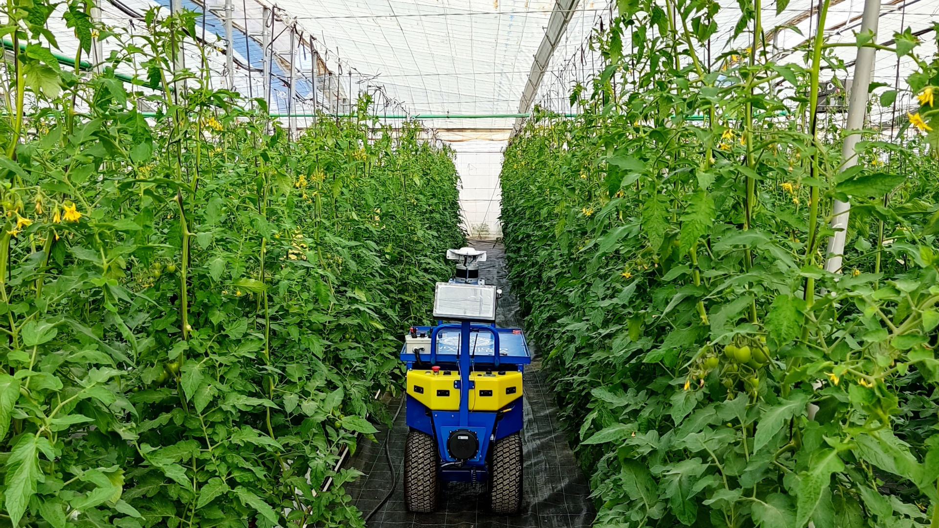 LIFE-ACCLIMATE: invernaderos que se adaptan al cambio climático