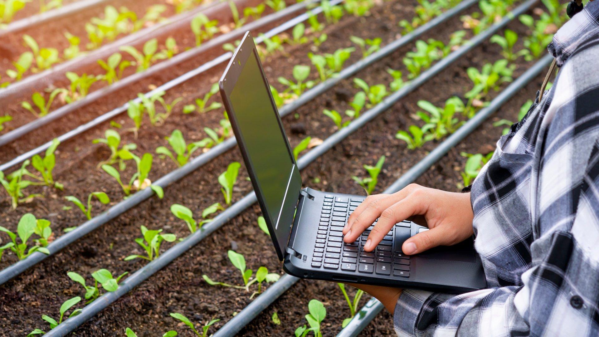 AgriDataSpace: sembrando hoy las bases del espacio de datos agrícolas de mañana