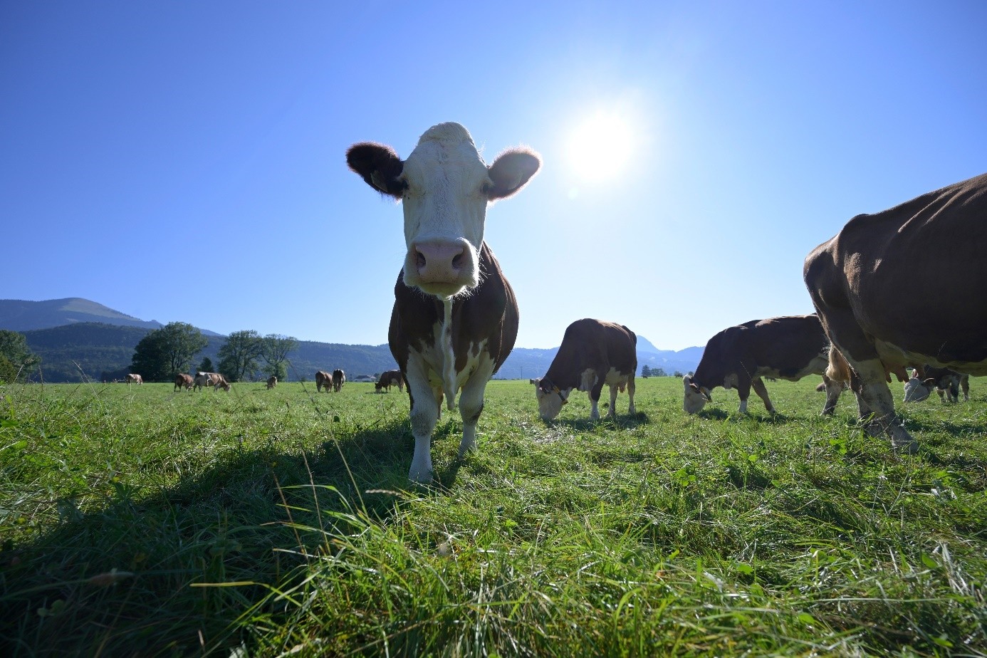 Naturland abre las puertas a un agro ecológico frente al cambio climático