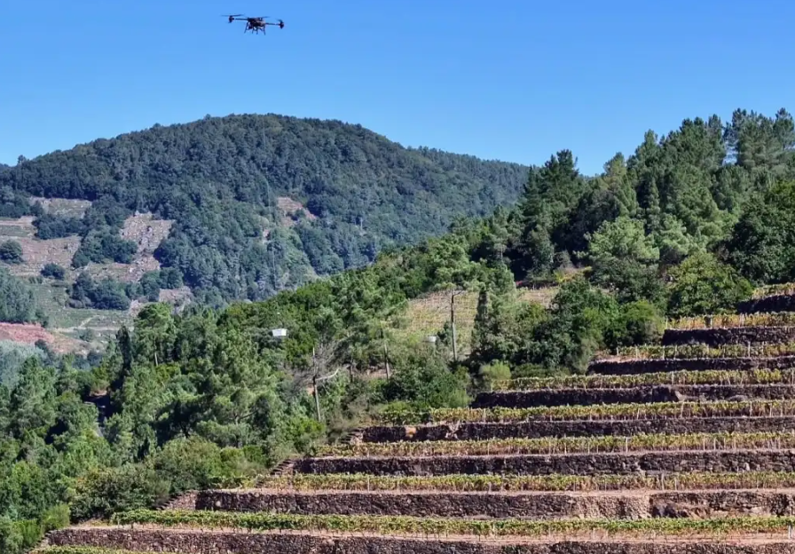 Robots, drones e IA dan forma a la vendimia del siglo XXI