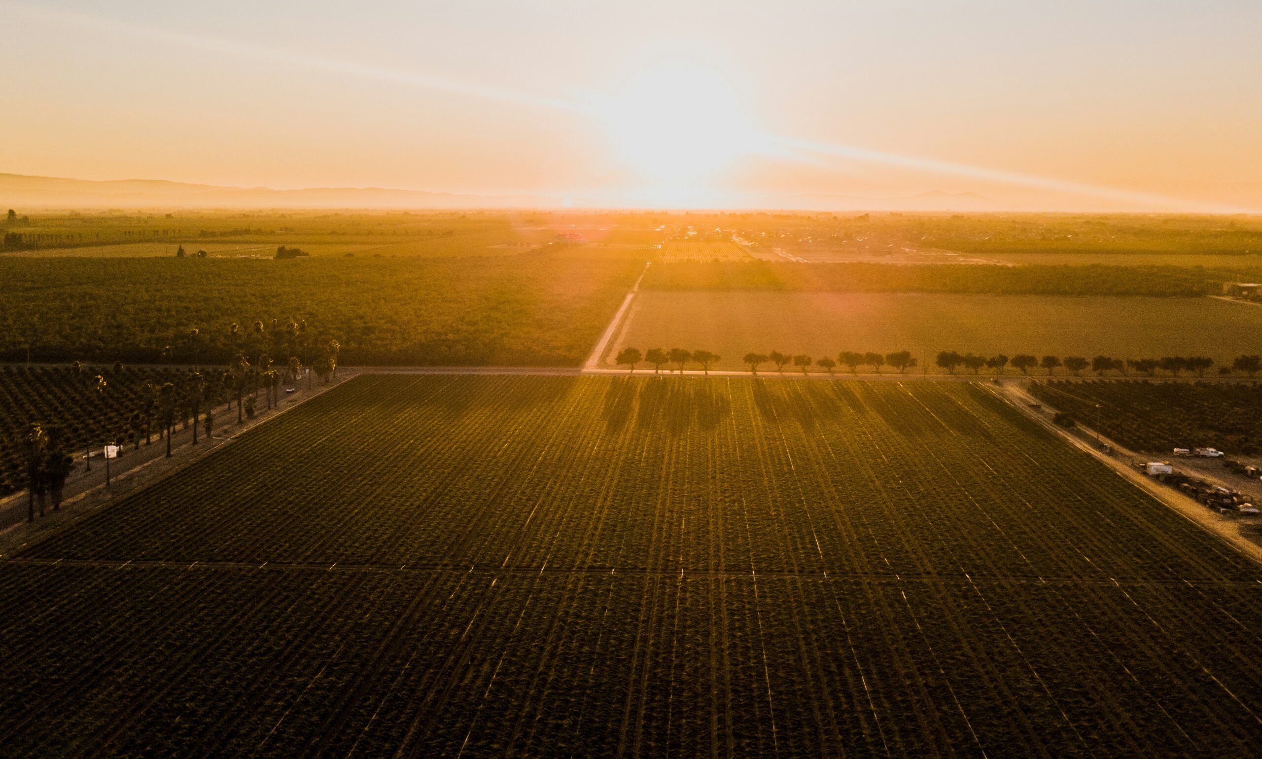 Convocatoria “Test Farms” para Startups Agritech y Aquatech de EIT Food