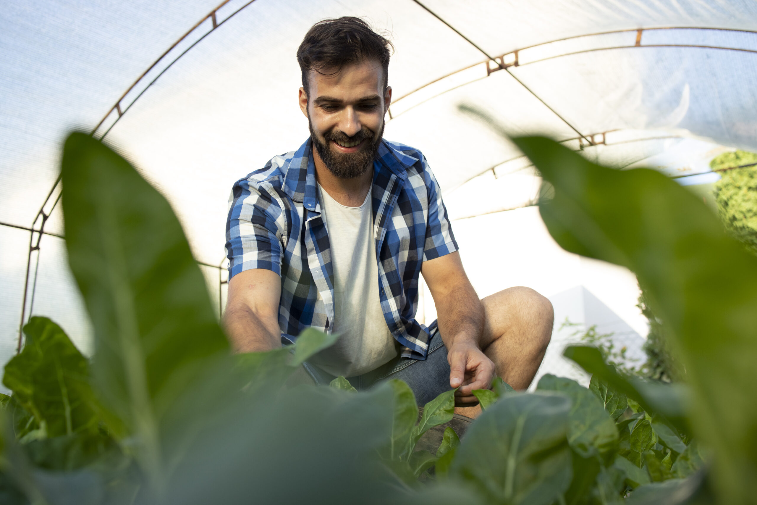 Cambios en el campo andaluz: cómo la innovación digital marca el relevo generacional
