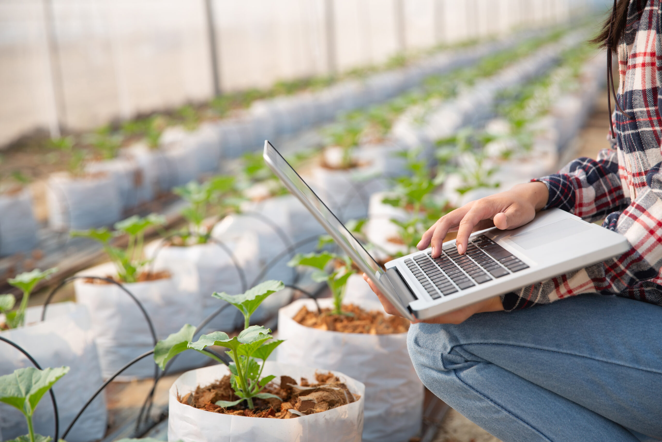GUARDIANS lanza su convocatoria abierta ‘Test Before Invest’ para validar soluciones digitales en el sector agrícola