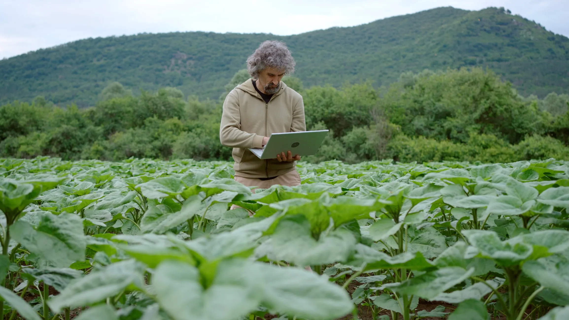 La IA puede transformar la agricultura, pero primero debe resolverse el problema de los datos