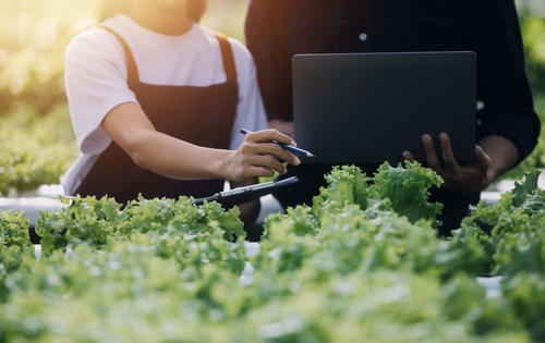La Comisión Europea lanza el primer EU Agri-Hackathon para impulsar la innovación digital en la agricultura